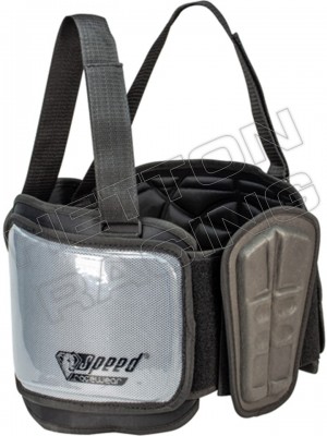 PROTECTIE COASTE DRESDEN